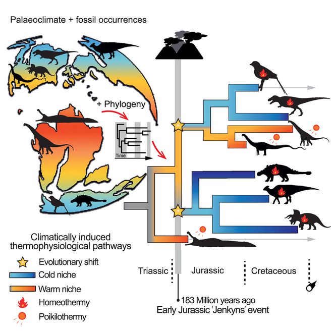 A distribuição geográfica dos fósseis de dinossauros, indicando como seus corpos teriam que funcionar para sobreviver em cada região (Imagem: Charenza et al./Current Biology)