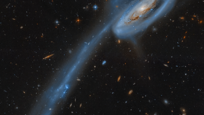 Destaque da NASA: Galáxia do Girino é foto astronômica do dia - 1